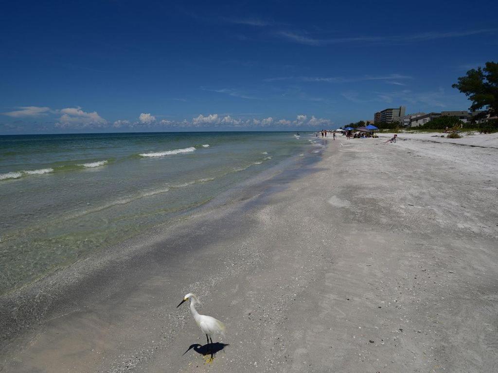 Gulf Retreat 2: Magnificent Water Views, Steps To Beach, None Cleaner, None Nicer! Clearwater Beach Esterno foto